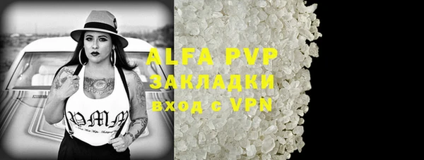 дживик Абаза