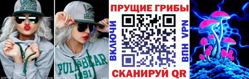нарко площадка состав  mega маркетплейс  Галлюциногенные грибы ЛСД  Жердевка  наркотики 